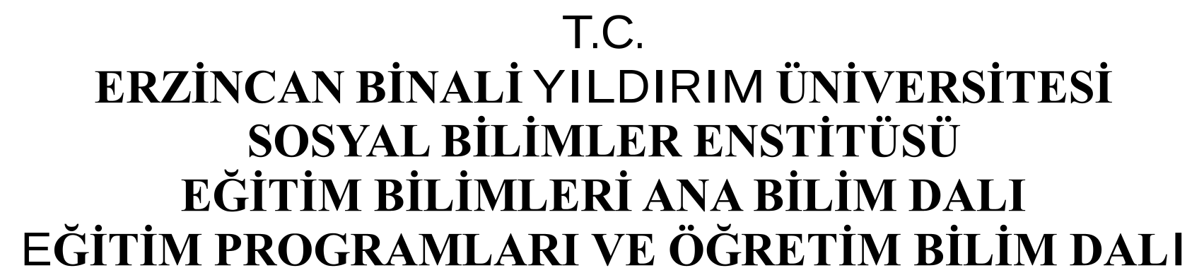 2019 VE 2024 İLKOKUL TÜRKÇE DERSİ ÖĞRETİM PROGRAMLARININ KARŞILAŞTIRILMASI VE ÖĞRETMEN GÖRÜŞLERİ — Figure 1