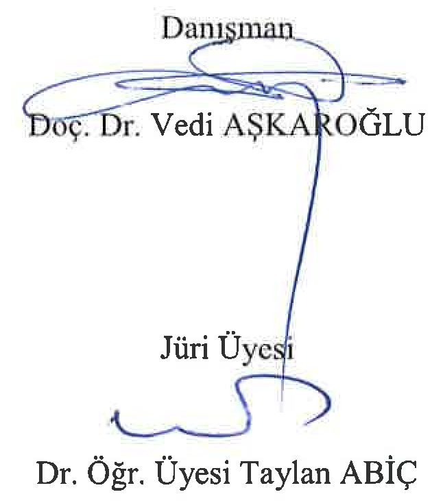 Radical image in Ahmet Kaçar's poetry — Figure 3