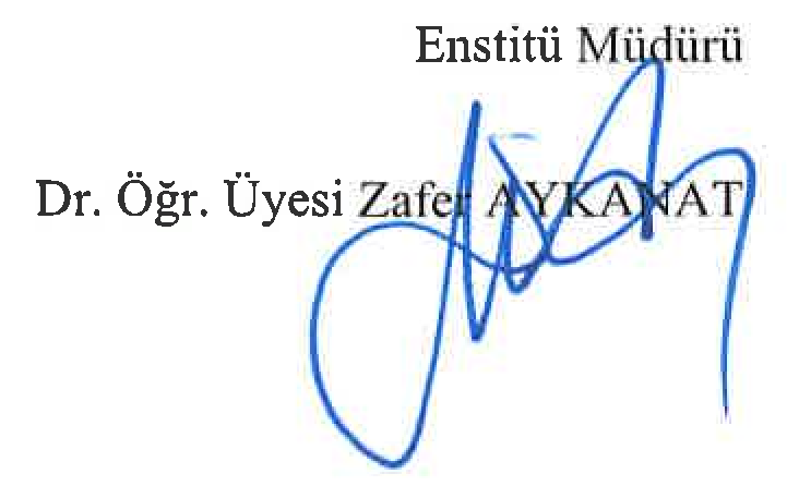 Radical image in Ahmet Kaçar's poetry — Figure 4