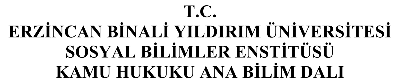 AİHS Bağlamında Özerk Kavramlar Doktrini ve Aile Hayatına Saygı Hakkı — Figure 1