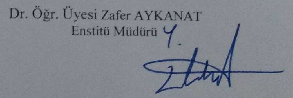 Baku arşivlerinde 1900-1930 arası Türk edebiyatına dair yazılar — Figure 1