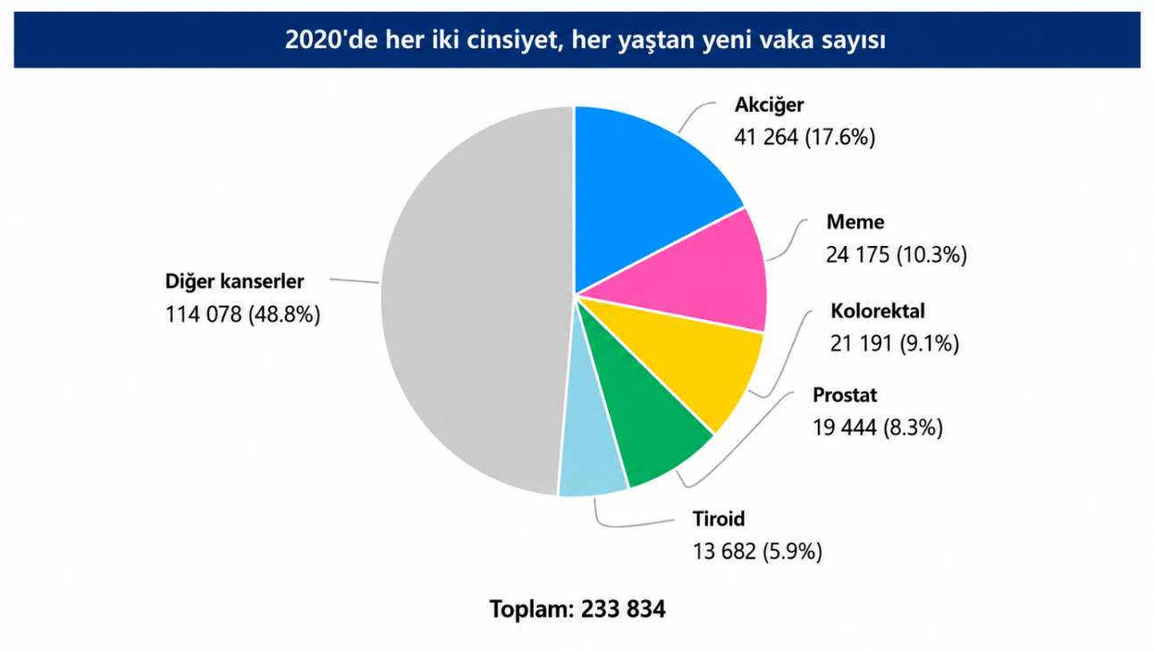 BCL-2 inhibitörü navitoclax ve HSP27 inhibitörü J2 moleküllerinin akciğer adenokarsinom kanseri üzerinde in vitro sinerjistik antikanser etkilerinin incelenmesi — Figure 6