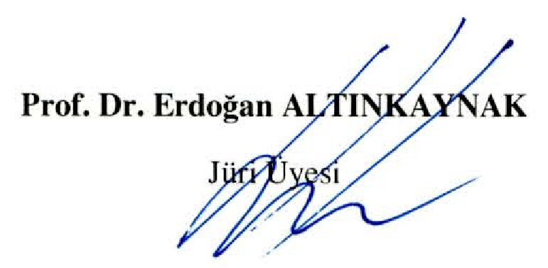 Benli Hasan Çelebi (Ahi) - Husn u dil (Examination-comparative text-dictionary-directory) — Figure 3