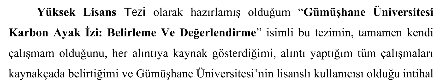Carbon footprint of Gümüşhane University: Identification and evaluation — Şekil 3