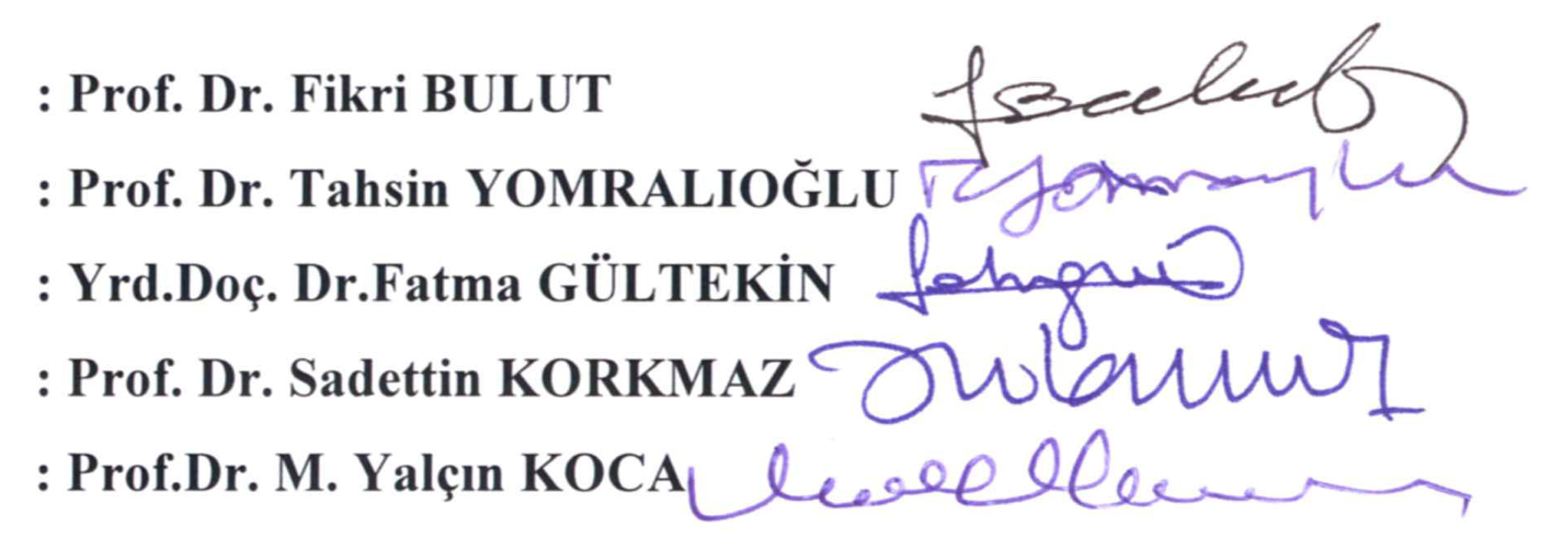 Çayeli (Rize) ve çevresinin istatistiksel yöntemlerle heyelan duyarlılık analizi / Landslide susceptibility analysis of Çayeli region (Rize) by statistical methods — Şekil 1