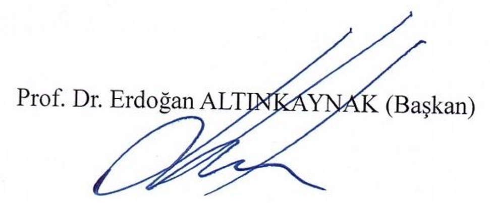 Dede Korkut anlatılarında toplumsal cinsiyet bağlamında dil — Figure 1