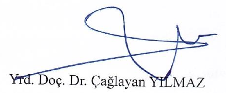 Dede Korkut anlatılarında toplumsal cinsiyet bağlamında dil — Figure 2