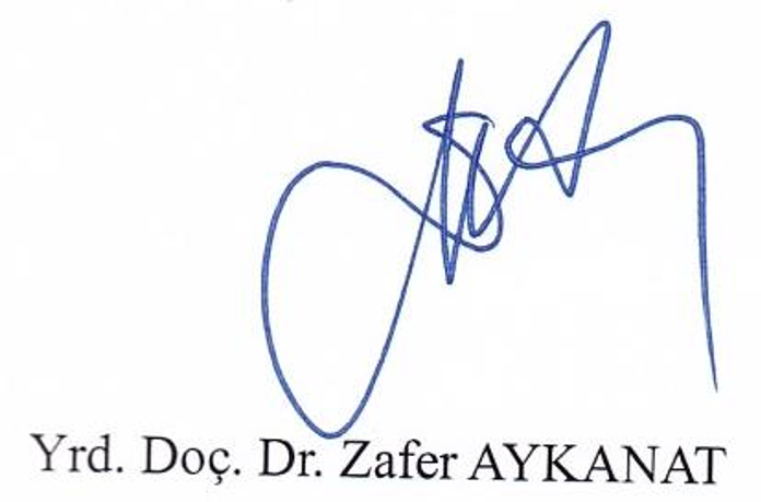 Dede Korkut anlatılarında toplumsal cinsiyet bağlamında dil — Figure 3