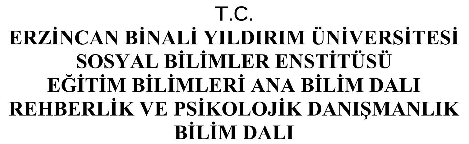 Dijital Oyun Bağımlılığı, Duygusal Zeka ve Psikolojik Sağlamlığın İncelenmesi — Figure 1