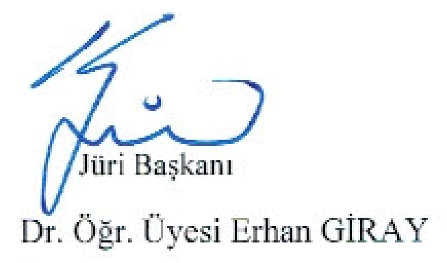 Divânu Lûgati't-Türk ile Hakas Türkçesinin karşılaştırmalı söz varlığı — Figure 4