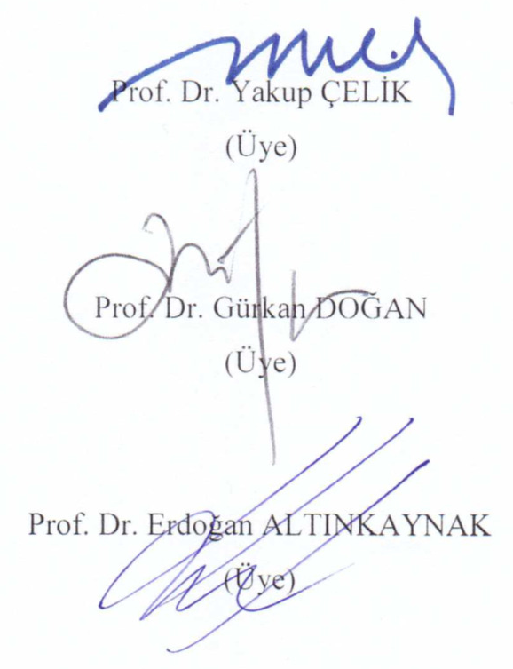 Structure and theme in Eli̇f Şafak's novels — Figure 5