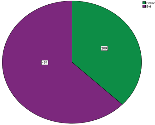 Erzincan’daki AK Parti ve CHP seçmenlerinin uluslararası göç ve göçmen algıları üzerine bir araştırma — Figure 6