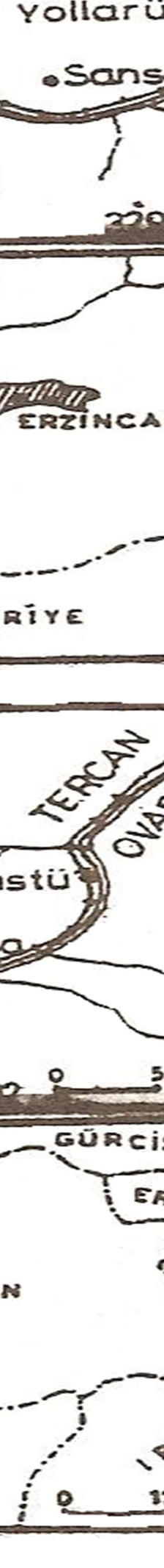 Ethnobotanic Aspects of Üzümlü (Erzincan) Town — Şekil 3