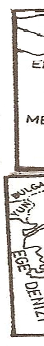Ethnobotanic Aspects of Üzümlü (Erzincan) Town — Şekil 6