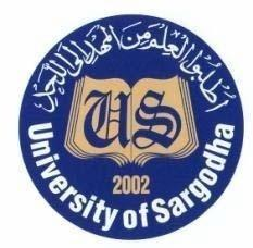Evaluation of University Library Websites in Pakistan: Usability & Accessibility Analysis — Şekil 2