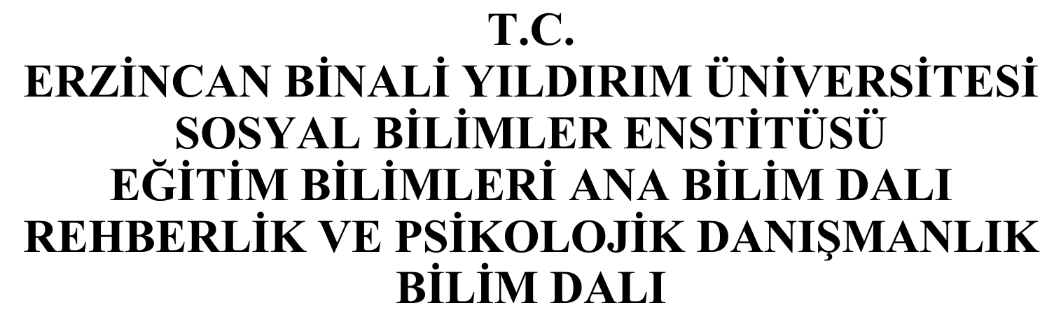 Genç yetişkinlerde evlilik kaygısının profilleri — Şekil 1