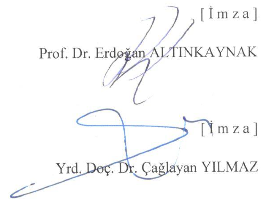 Genel ağ (İnternet) dili kullanımında yeni ögeler — Şekil 4