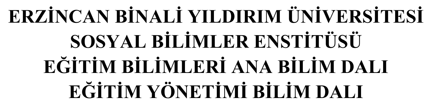 OPINIONS OF PRINCIPALS AND TEACHERS ON THE IMPACT OF APPOINTING PRINCIPALS FROM THE SPECIAL TALENT TEACHING FIELD ON TEACHER COMPETENCIES IN FINE ARTS AND SPORTS HIGH SCHOOLS (A CASE STUDY FROM THE EASTERN ANATOLIA REGION) — Figure 2