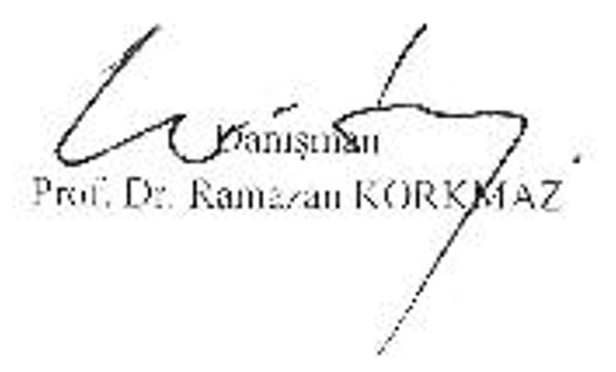 National romantic perception style in the novels of Hüseyin Nihal Atsız — Figure 4