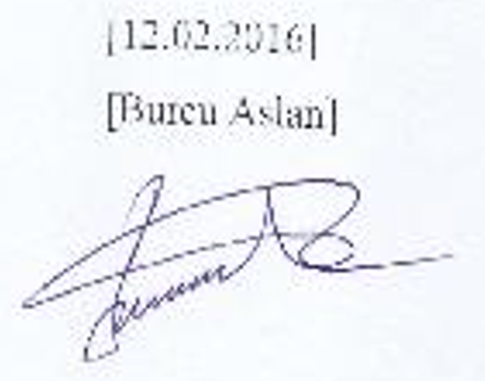 Hüseyin Nihal Atsız'ın romanlarında milli romantik duyuş tarzı — Figure 5