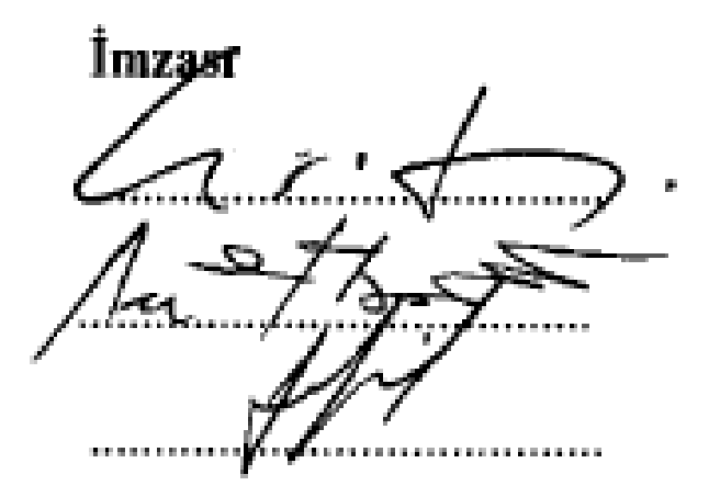Hüseyin Rahmi Gürpınar'ın öykülerinde konu/tema ve yapı — Figure 1