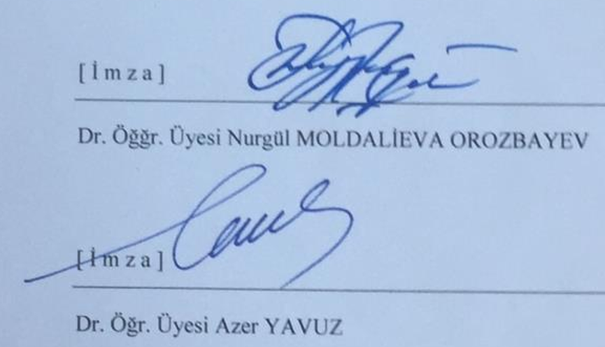 II. Meşrutiyet devri Türk öykülerinde kimlik inşası — Figure 1