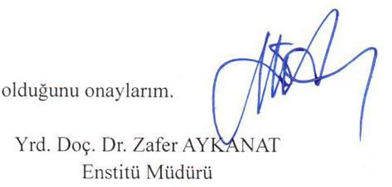 II. Meşrutiyet Dönemi Türk Romanında kimlik inşası — Figure 5