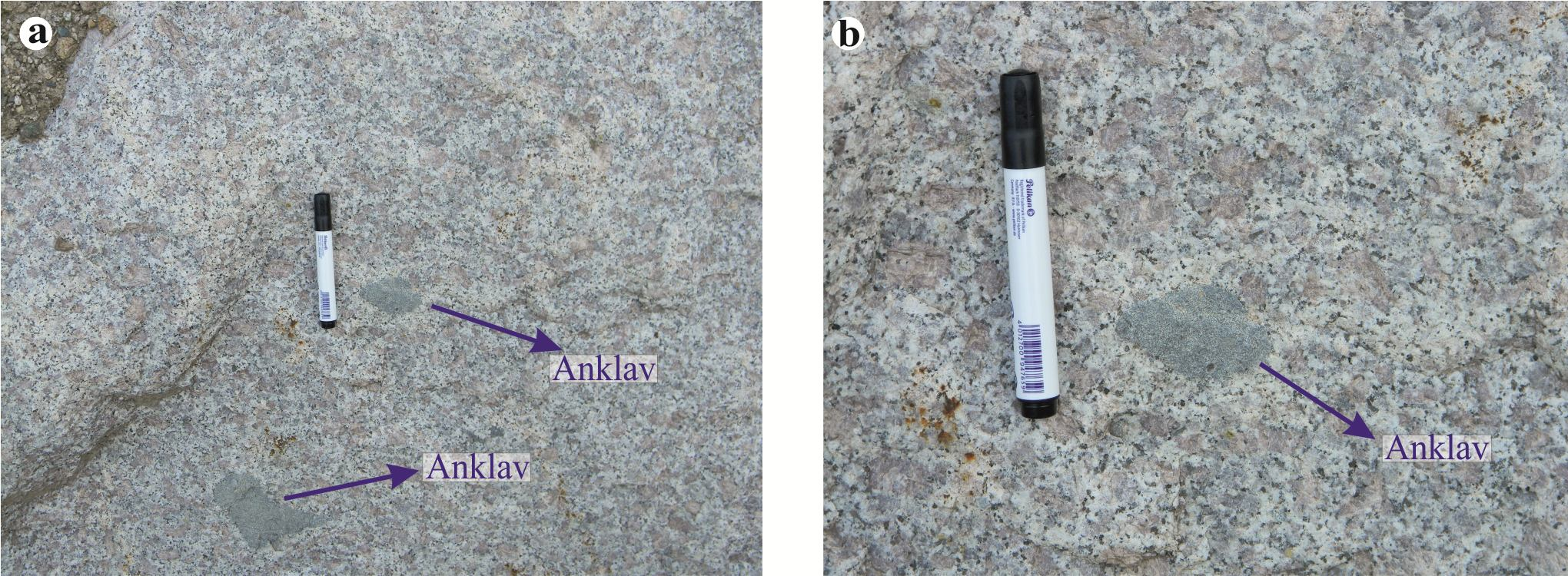 U-Pb geochronology, petrology and geodynamic significance of Ikizdere pluton (Northeast-Turkey) — Şekil 6