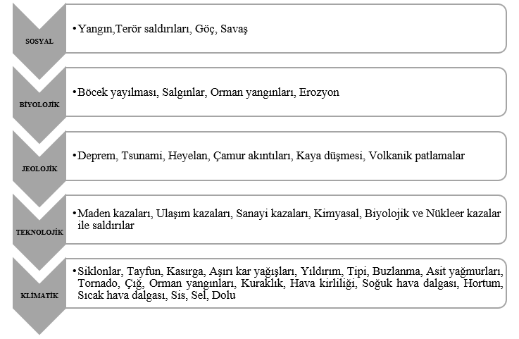 İlkokul Öğretmenlerinin Nükleer Kazalara Yönelik Bilinç, Tutum ve Davranış Ölçek Çalışması: Eğitim Materyalinin Oluşturulması — Şekil 5