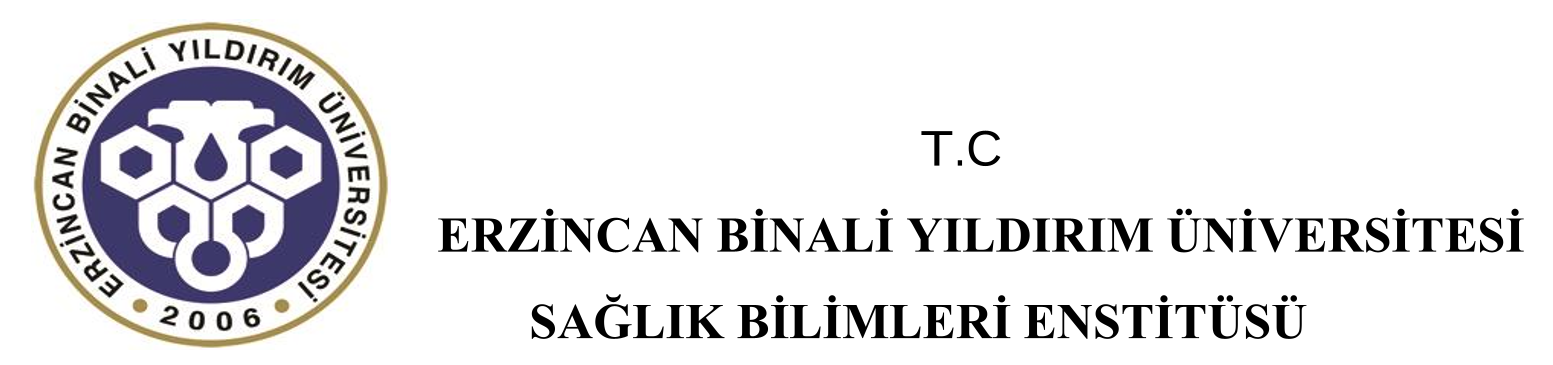 Karate Sporu Yapan Bireylerde Sporda Ahlaktan Uzaklaşmanın Sportmenlik Davranışlarına Etkisinin İncelenmesi — Figure 3