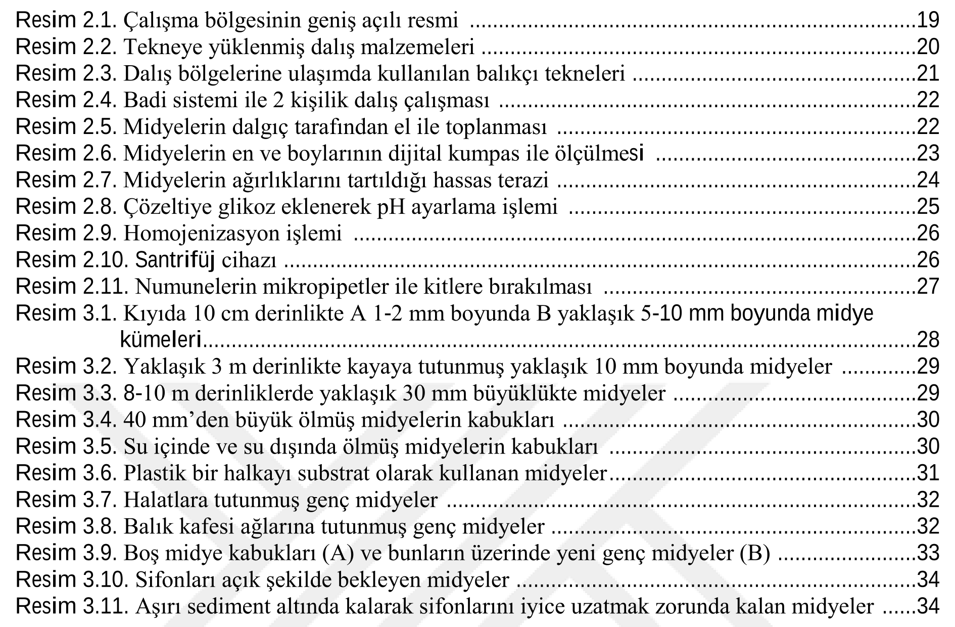 Keban baraj gölü Pertek avlak sahasında bulunan midye populasyonlarının ekolojik özelliklerinin su altı dalış tekniği ile belirlenmesi — Figure 6