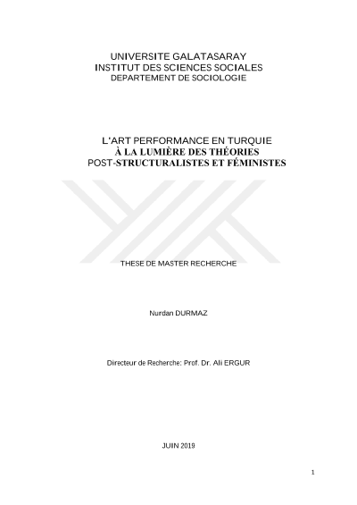 L'art performance en Turquie à la lumière des théories post-structuralistes et féministes — kapak