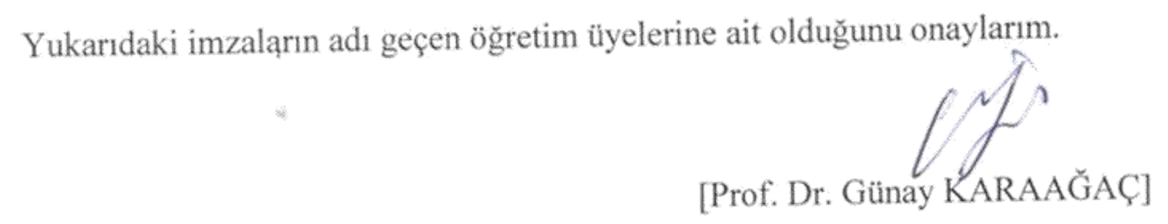 Mardin ili Midyat ilçesinde yaşayan Mahalmilerin folklor ve etnografyası — Figure 2
