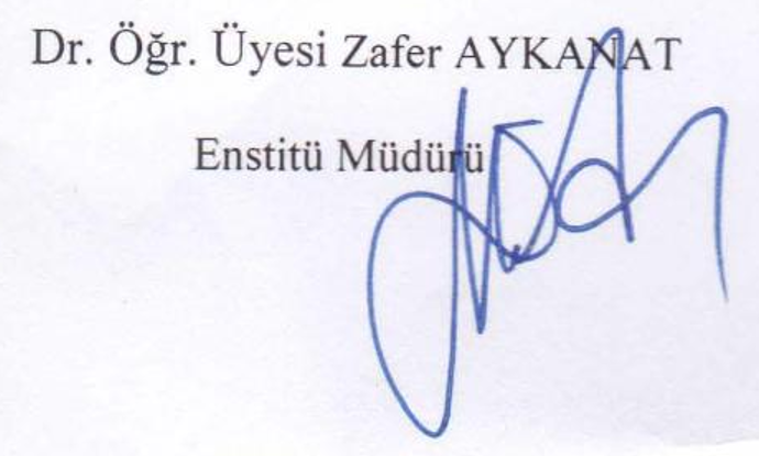 Cohesion in Mirze Elekber Sabir's "Hophopname" — Figure 6