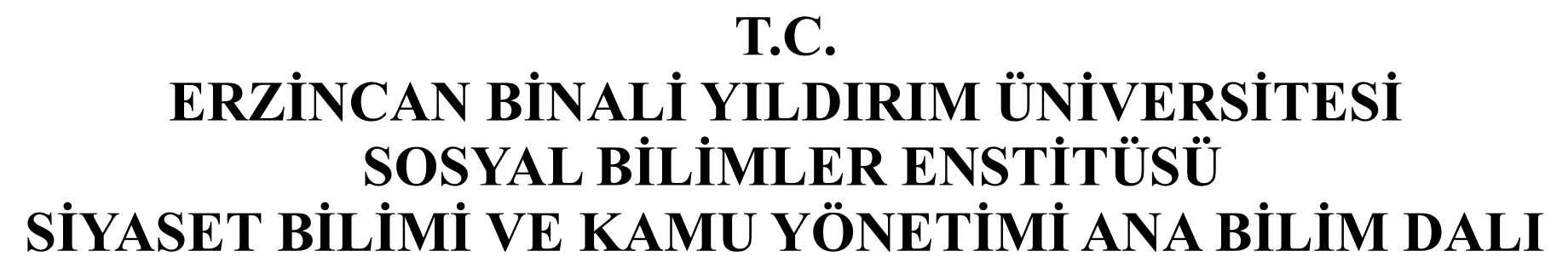 MÜSLÜMAN KADINLARIN AK PARTİ DÖNEMİ KADIN POLİTİKALARINA YÖNELİK TUTUMLARI — Figure 1