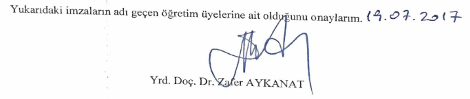 Nev'î Divanı sözlüğü (Bağlamsal dizin ve işlevsel sözlük) — Şekil 1