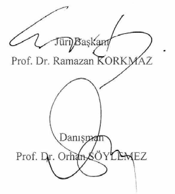 Image of home in the novels of Orhan Pamuk — Figure 1