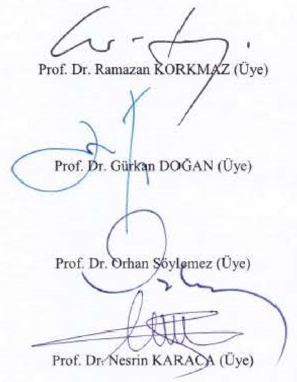 Özne-iktidar ilişkisi bağlamında Alev Alatlı'nın romanlarının incelenmesi — Şekil 1