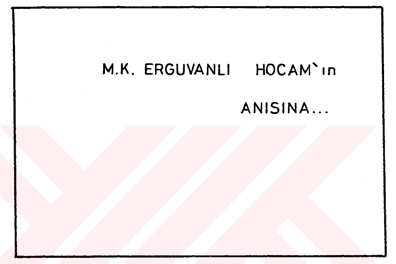 Pendik-Gözdağ kuvarsit işletmeleri ve civarının mühendislik jeolojisi ve işletmeye etki eden faktörler — Figure 2