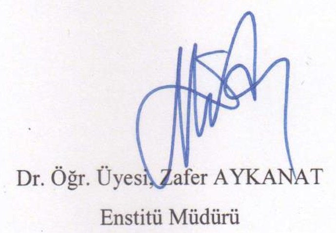 Şamli Mehmed Rȃgib Divançesi ve incelemesi — Figure 2