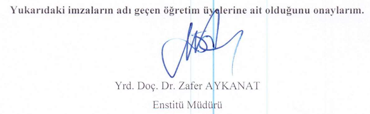 Sosyal medya siyaset ilişkisi: Sosyal medyanın siyasal katılıma etkisi üzerine bir araştırma — Şekil 4