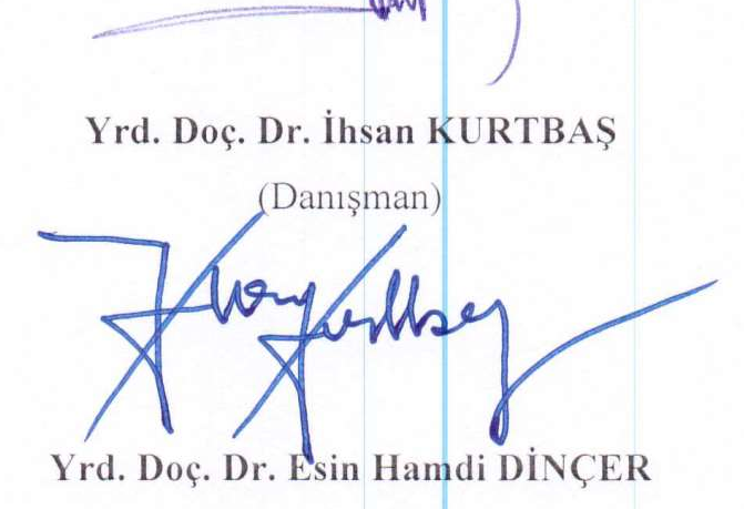 Sosyal medya siyaset ilişkisi: Sosyal medyanın siyasal katılıma etkisi üzerine bir araştırma — Şekil 5