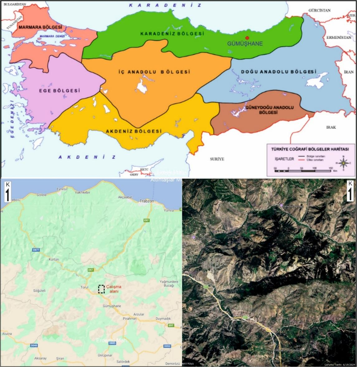 TORUL (GÜMÜŞHANE) VE CİVARINDA YER ALAN ADAKİT BENZERİ PORFİRLERİN PETROGRAFİK, JEOKİMYASAL VE PETROLOJİK ÖZELLİKLERİNİN İNCELENMESİ — Figure 6