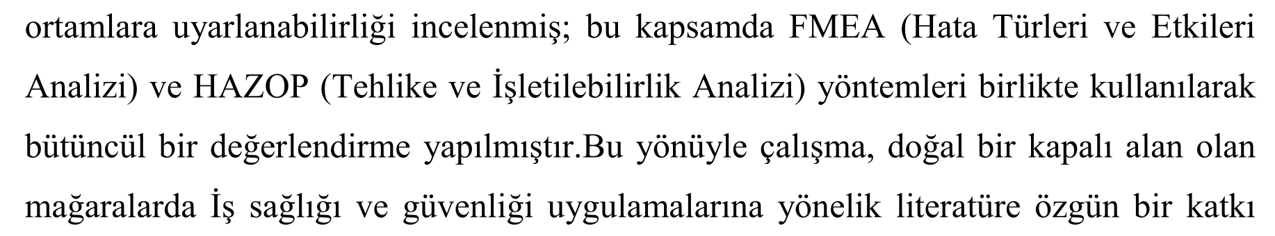 Turizm amaçlı kullanılacak yeraltı mağaralarında iş sağlığı ve güvenliği risklerinin analizi: Gümüşhane Akçakale Mağarası örneğinde FMEA ve HAZOP uygulaması — Şekil 4