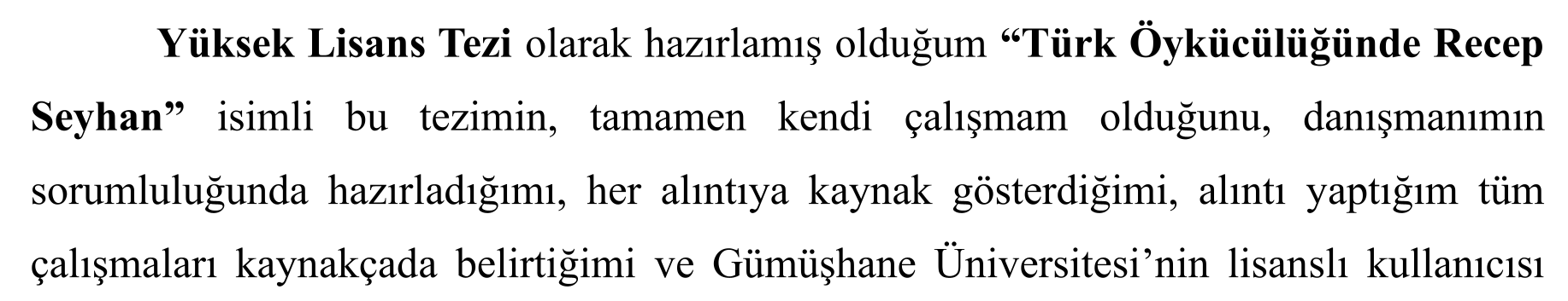 Türk öykücülüğünde Recep Seyhan — Şekil 3