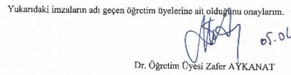 Uluslararası siyasal iletişim yöntemi olarak kamu diplomasisi: Türkiye-AB ilişkileri örneği — Şekil 3