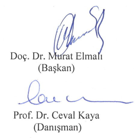 Uygurca Altun Yaruk'a ait belgeler (751-800) — Figure 3