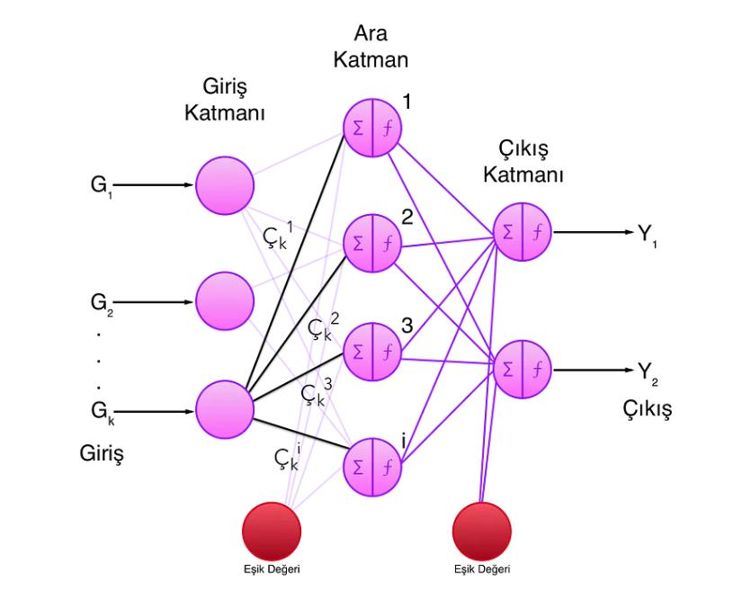 ÜZÜM YAPRAĞINDA GÖRÜLEN HASTALIKLARIN DERİN ÖĞRENME İLE TESPİTİ VE SINIFLANDIRILMASI — Figure 4