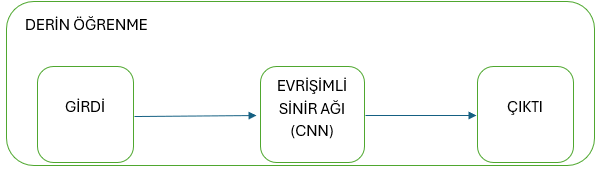 ÜZÜM YAPRAĞINDA GÖRÜLEN HASTALIKLARIN DERİN ÖĞRENME İLE TESPİTİ VE SINIFLANDIRILMASI — Figure 6