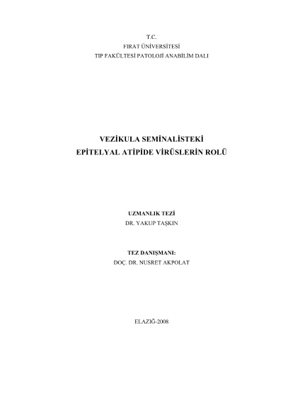 The role of the viruses in epithelial atypia of the seminal vesicles — kapak